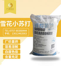 雪花(huā)牌食(shí)用小蘇打(dǎ)