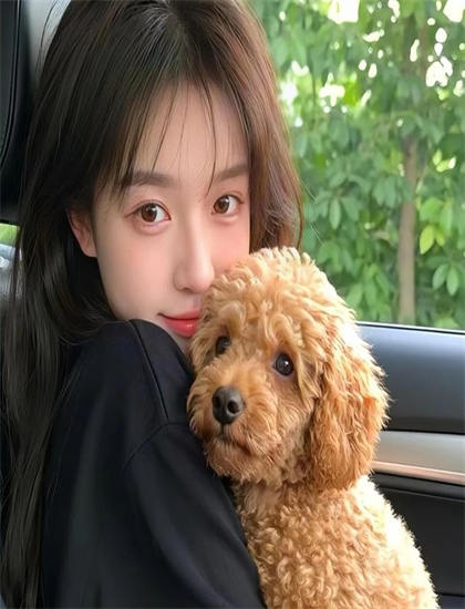 猫鼠游戏 电影-李东健电影